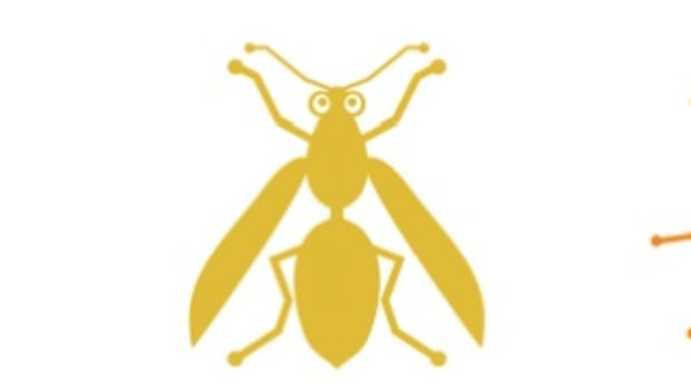 bug banner
