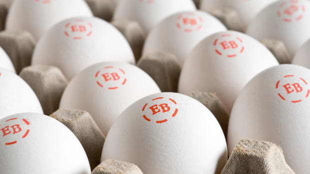 Eggland's Best Eggs Close Up