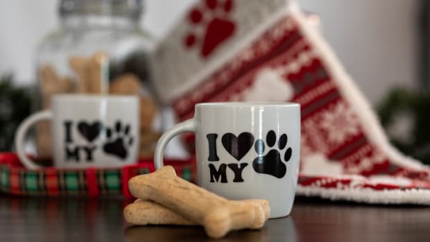 Best Holiday Gifts For Your Dog