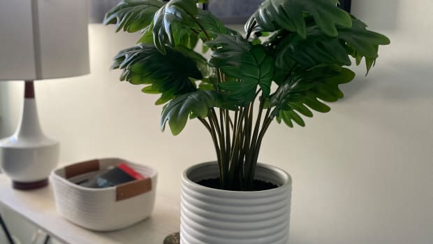 The Most Amazing Faux Plants for Your Home