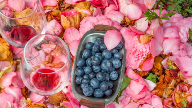 Blueberry Wine Spritzer