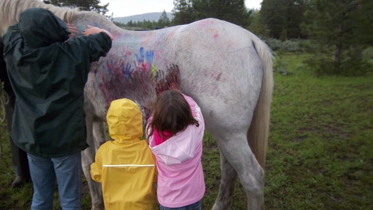 Paws Up Montana Family Fun