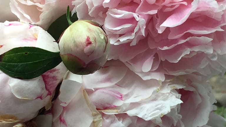 3 Indoor Ways to Use Garden Flowers
