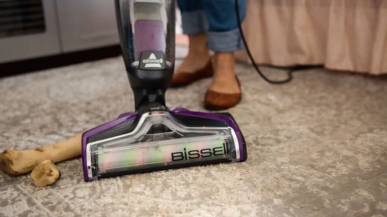 3 Pet Must-Haves