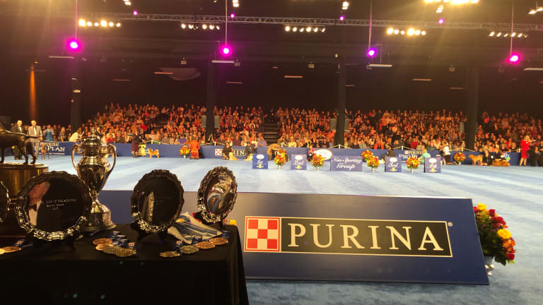 #DogThanking at the National Dog Show Presented by Purina