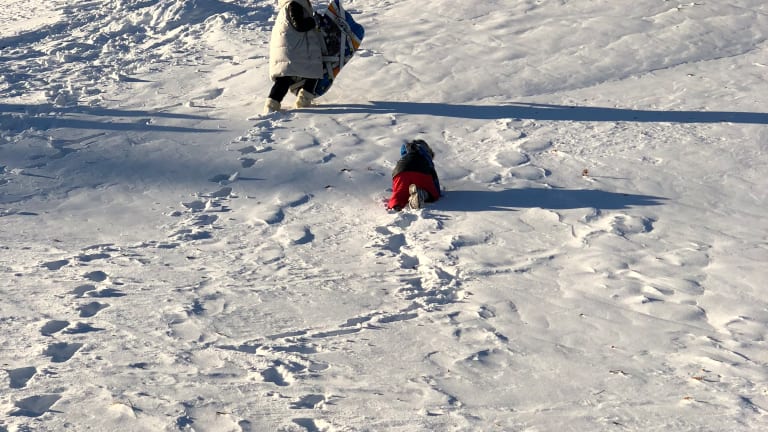 Sleds, Sleighs, and Snow-Day Toys