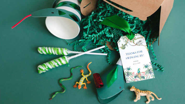 Jungle Themed Birthday Party