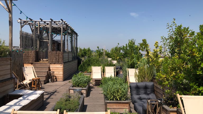Brach New Stylish Paris Hotel