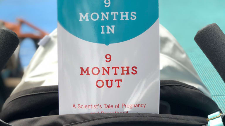 New Pregnancy Book Combines Science and Experience