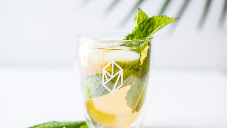 Healthy Living and Detox Tips for the New Year