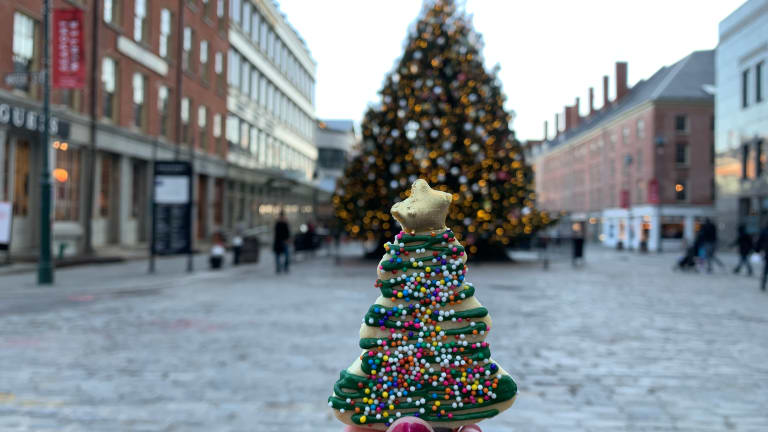 Cookies for Santa