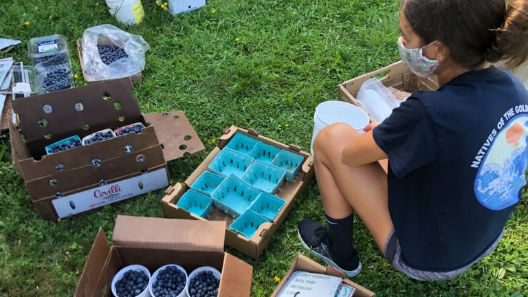 Keeping Teens Busy with Volunteer Opportunities