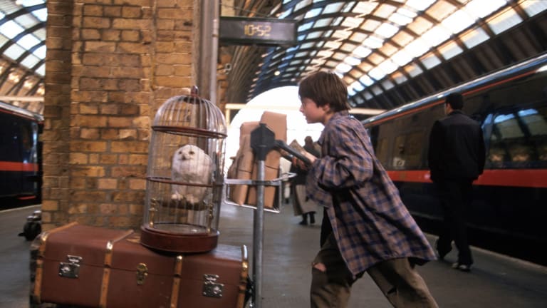Harry Potter Virtual Events