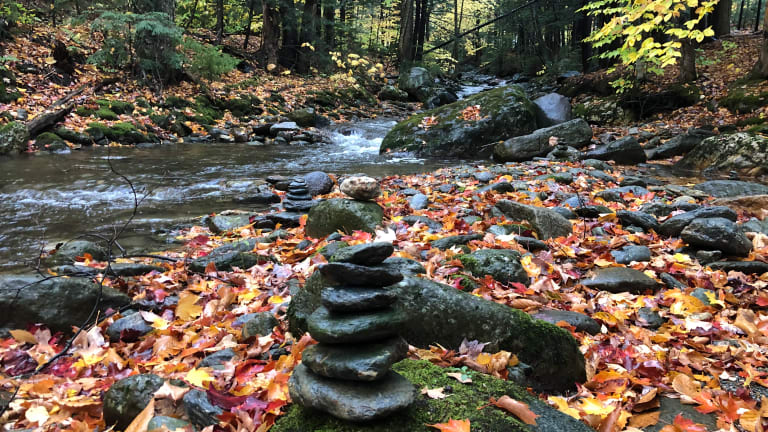 Autumnal Equinox: 5 Ways to Celebrate Fall