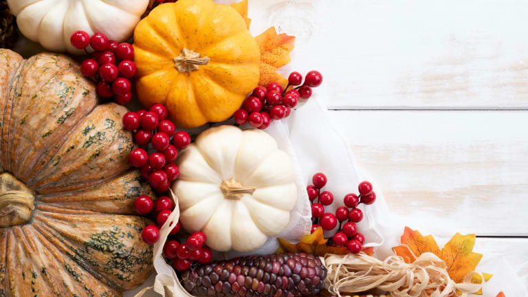 Our Favorite Thanksgiving Picture Books