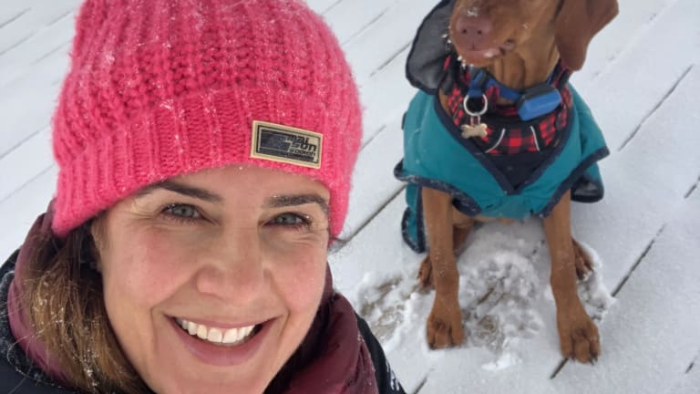 GPS and Wellness Tracker for Dogs