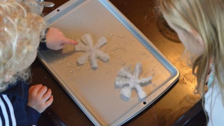 Science for Kids: Grow Crystal Snowflakes