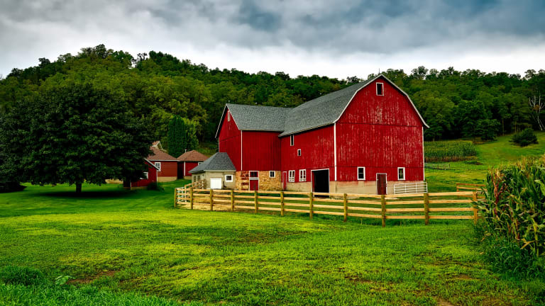 Barnyard Bash! Farm Theme Birthday for Kids