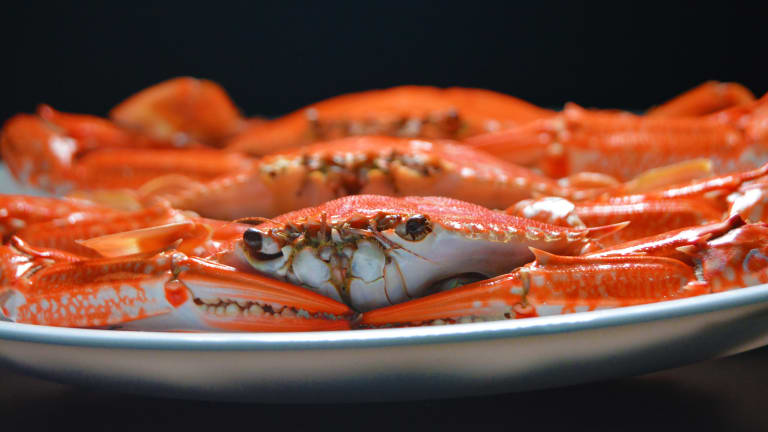 Tasty Crockpot Seafood Chowder Recipe