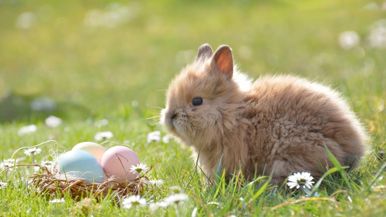 Awesome and Easy Easter Crafts for Toddlers