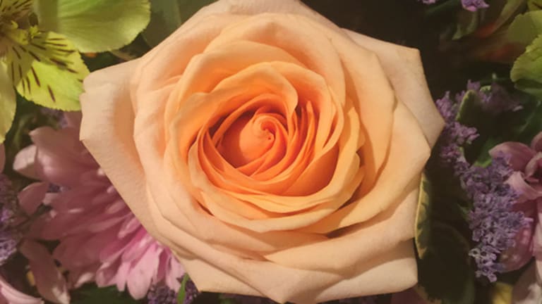 Celebrating Mother's Day and the World's Toughest Job With Teleflora