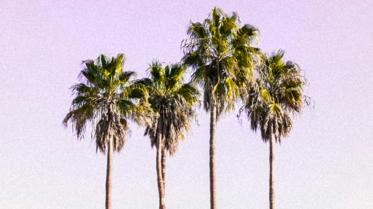 Summer Beauty Essentials
