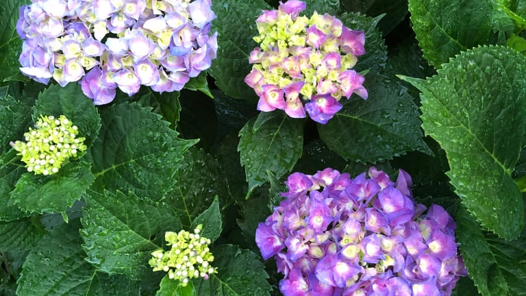 3 DIY Projects to Help You Enjoy Your Outdoor Space