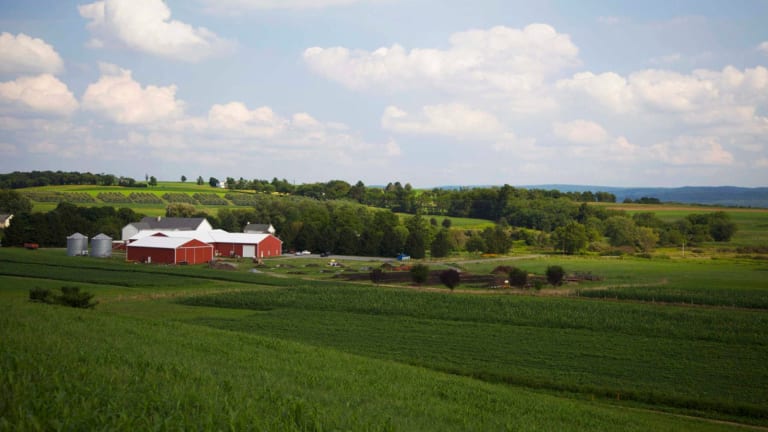 Organic Valley Farm Tour
