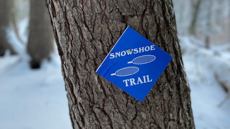 The Beginners Guide to Snowshoeing