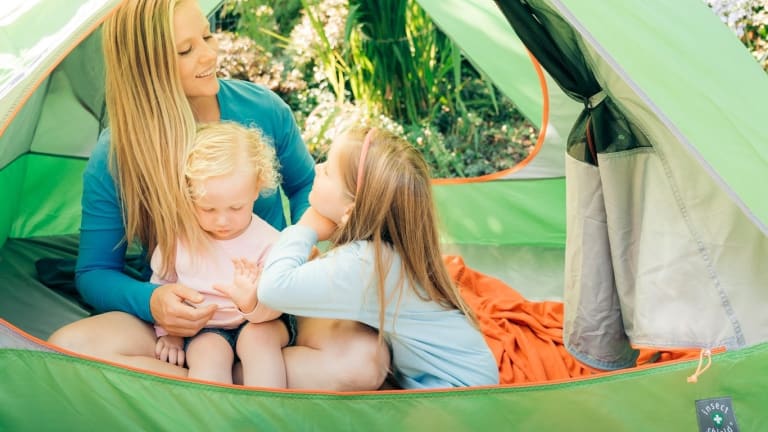 What You Need to Know About Ticks
