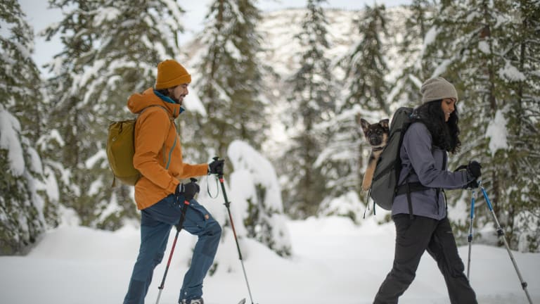 Why You Need an REI Membership