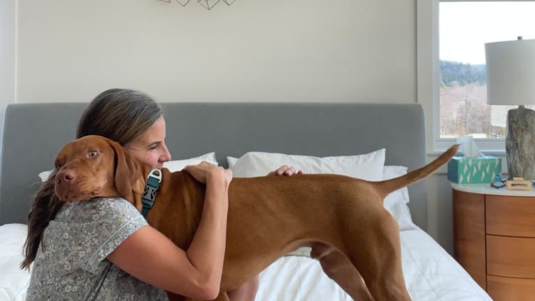 5 Ways to Be a Better Dog Owner