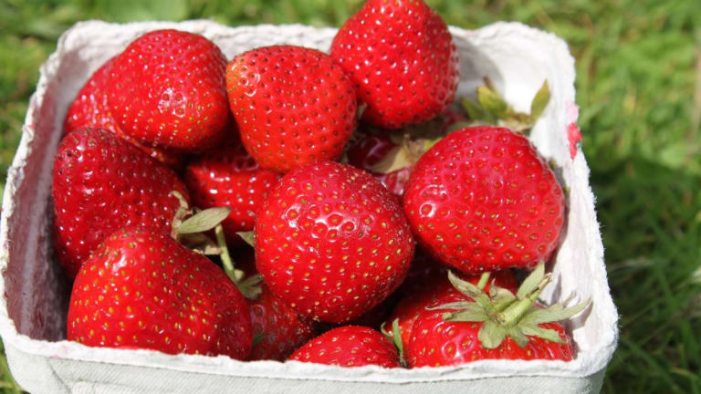 No-Churn Strawberry Ice Cream Recipe