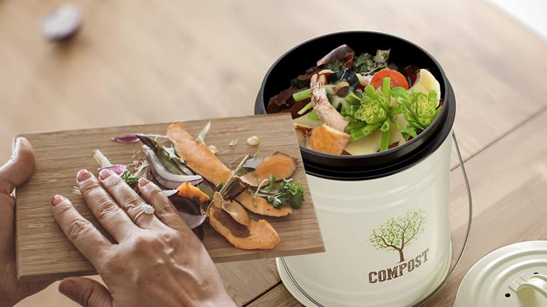 Family Composting Five Things to Consider