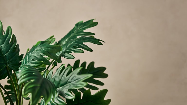 The Most Amazing Faux Plants for Your Home