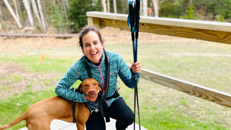Is a Vizsla a Good Dog for Your Family?