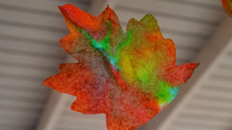 Kid Craft: Fall Leaf Suncatchers