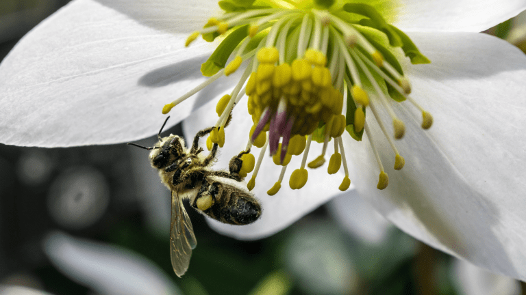 Bee Inspired Must-Haves