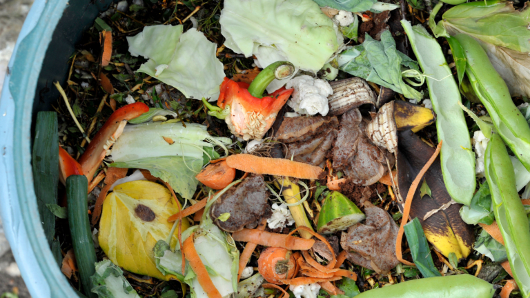 A Beginner's Guide to Composting