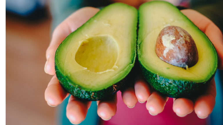 10 Must-Try Recipes for Avocado Lovers