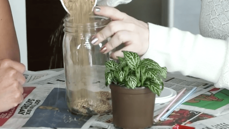 DIY Father's Day Terrarium Craft