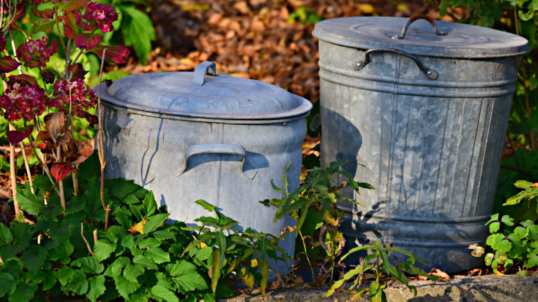 More Love and Less Waste This Thanksgiving