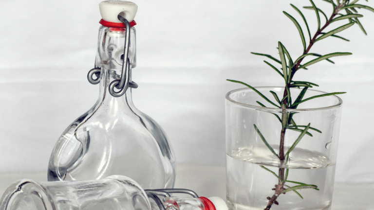 Why You Should Add Witch Hazel to Your Beauty Routine