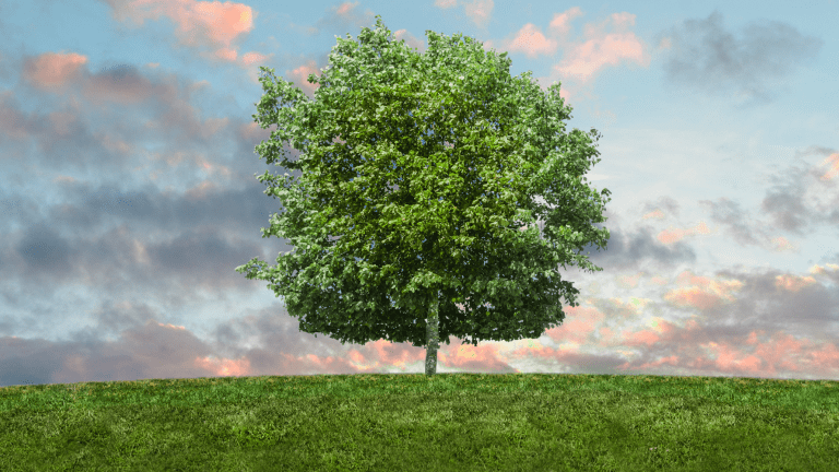 5 Ways to Immediately Reduce Your Carbon Footprint