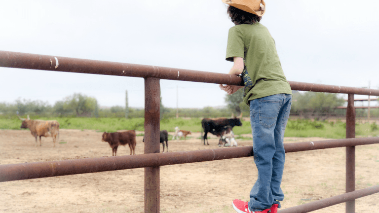 What to Do If Your Kids Have to Study On Spring Break