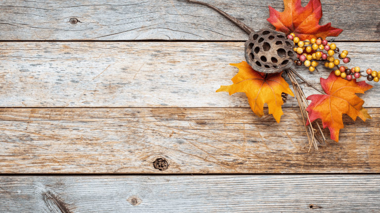 Fall Beer Pairing