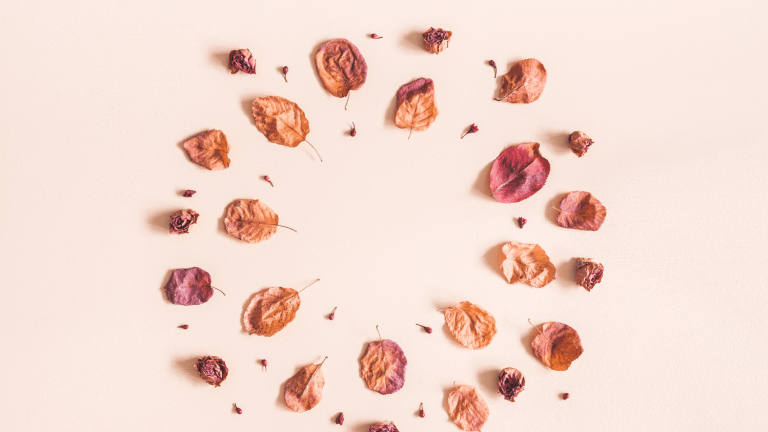 Our Favorite Fall Wreath Picks for Your Home