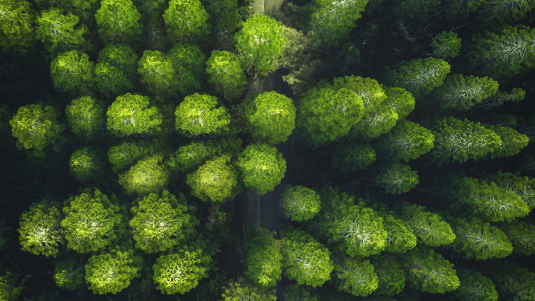 Tips on How to Reduce, Reuse, and Recycle This Earth Day
