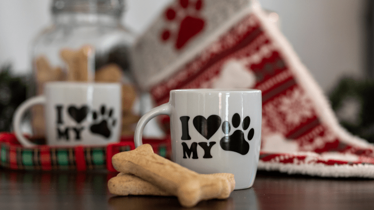 Best Holiday Gifts For Your Dog
