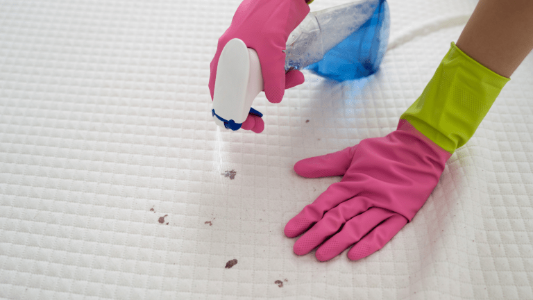 Stain Solver: A Multifaceted Organic Cleaning Product